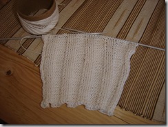 dishcloth
