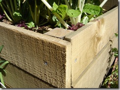 garden corner