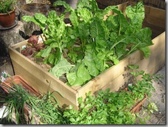 garden2