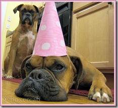 party