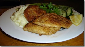 schnitzel1 schnitzel1