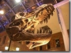 museum