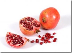 seed