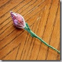 kiss rose bud