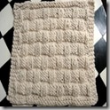 dishcloth11