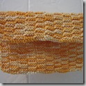 dishcloth24