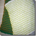 dishcloth5