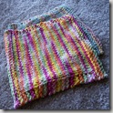 dishcloth6