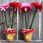 flowerpens