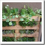 pallet garden pallet garden