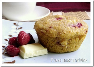 raspberry oat white chocolate muffin