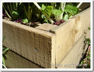 Raised Garden Bed