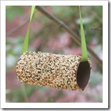 Toilet_Roll_Bird_Feeder
